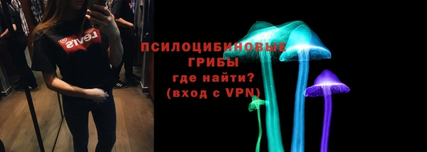 молекула духа Алексин