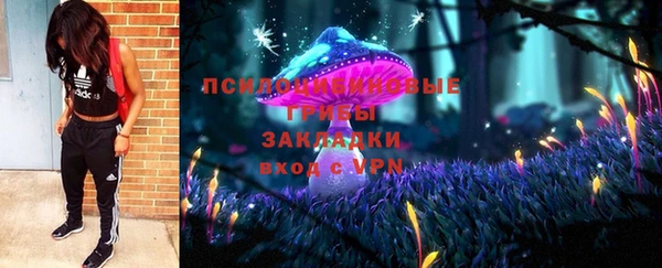 молекула духа Алексин
