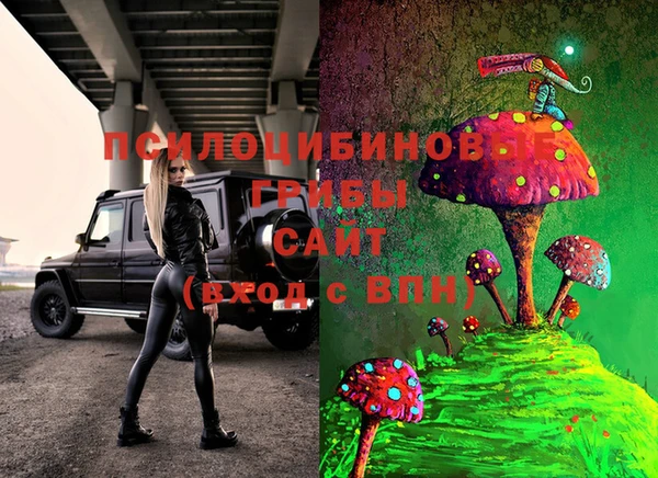 молекула духа Алексин