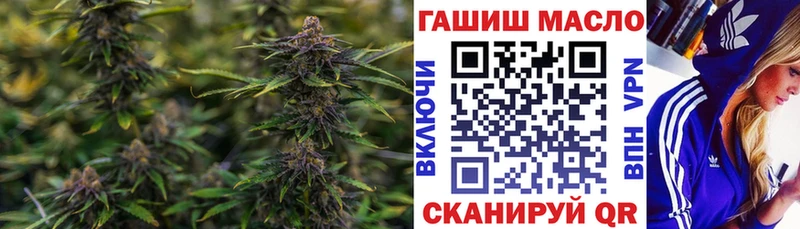 ТГК гашишное масло  магазин    MEGA вход  Красноярск 